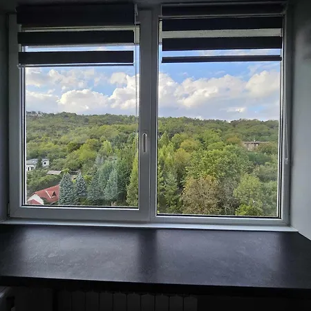 Forest View Grigorescu Apartment